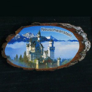 Neuschwanstein - magnet kůra ovál