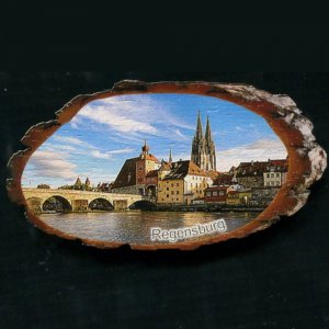 Regensburg 2 - magnet kůra ovál