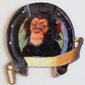 Šimpanz - magnet podkova