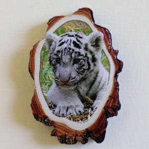 Tygr bílý - magnet kůra malá