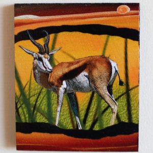 Antilopa - magnet