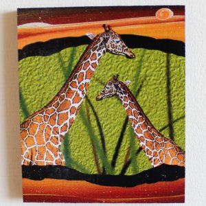 Žirafy - magnet