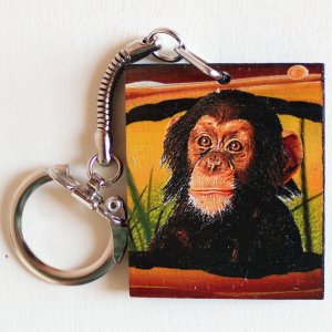 Šimpanz - klíčenka