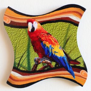 Papoušek - magnet