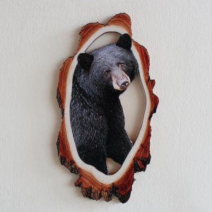 Medvěd - magnet kůra prořez