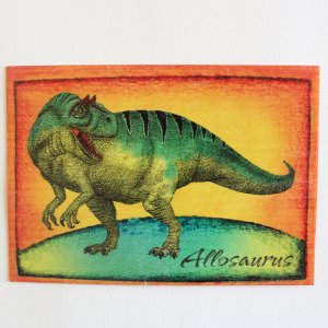 Allosaurus - pohled C6