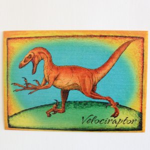 Velociraptor - pohled C6