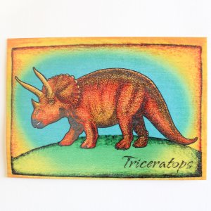 Triceratops - pohled C6