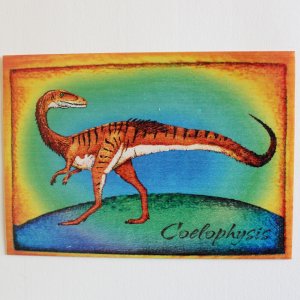 Coelophysis - pohled C6