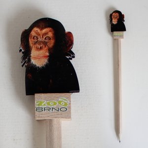 Zoo Brno - Opice šimpanz - tužka