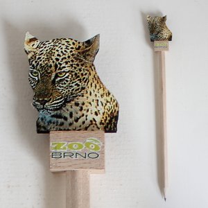 Zoo Brno - Gepard - tužka