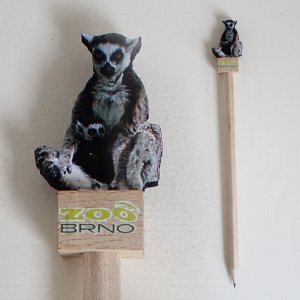 Zoo Brno - Lemur - tužka