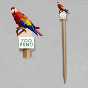 Zoo Brno - Papoušek Ara - tužka s oboustranným potiskem soklíku