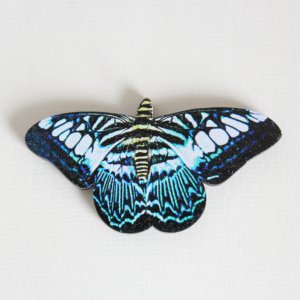 Motýlí dům Diana -  Motýl modrý - magnet