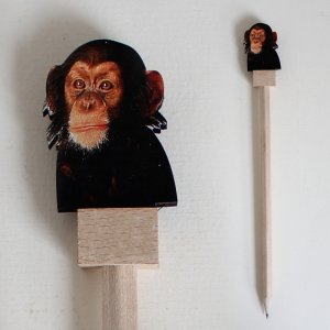 Šimpanz - tužka