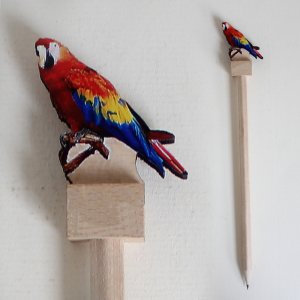 Papoušek Ara - tužka