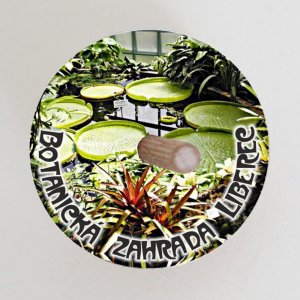 Liberec Botanická zahrada - káča