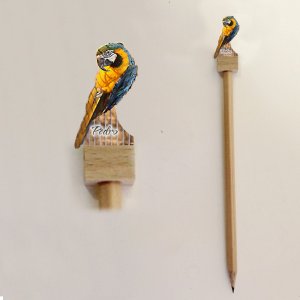 Velká Javorina - papoušek Pedro - tužka