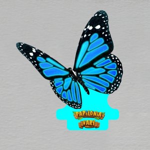 Motýlí dům Diana - Motýl - magnet dvojitý