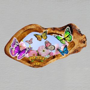 Motýlí dům Diana - magnet oliva ovál dvojitý