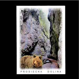 Prosiecka dolina - medvěd - pohled C6