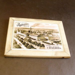 Budweiser Budvar - obrázek z masivu