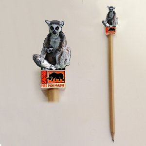 SAFARI PARK Dvůr Králové - Lemur - tužka