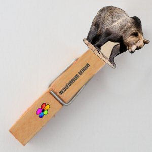 Medvědárium - Medvěd - kolíček s MAGNETEM - oranž