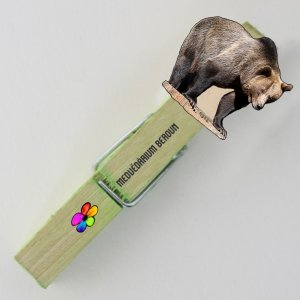 Medvědárium - Medvěd - kolíček s MAGNETEM - zeleň