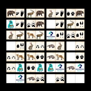 Bachledova - zvířata a stopy - domino