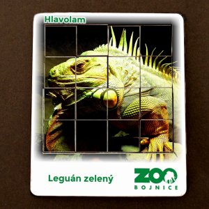 ZOO Bojnice - Leguán - hlavolam