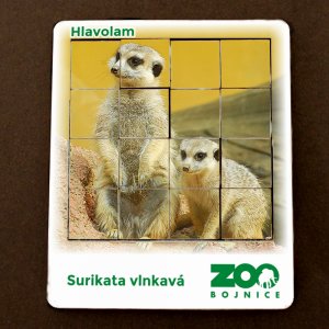 ZOO Bojnice - Surikaty - hlavolam