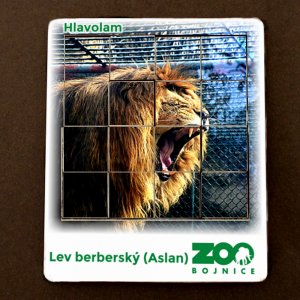 ZOO Bojnice - Lev - hlavolam