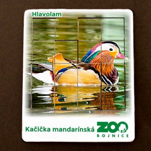 ZOO Bojnice - Kačička - hlavolam