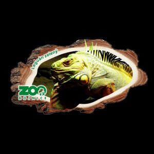 ZOO Bojnice - Leguán - magnet kůra dvojitý