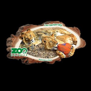 ZOO Bojnice - Lvi - magnet kůra dvojitý