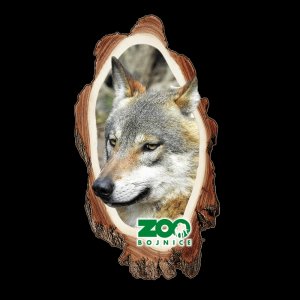 ZOO Bojnice - Vlk - magnet kůra dvojitý