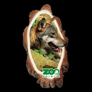 ZOO Bojnice - Vlk - magnet kůra dvojitý