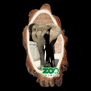 ZOO Bojnice - Slon - magnet kůra dvojitý