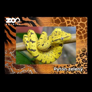 ZOO Bojnice - Pyton - magnet C6 rám zoo dvojitý
