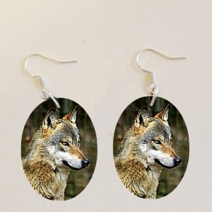 ZOO Bojnice - Vlk - naušnice ovál