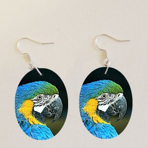 ZOO Bojnice - Papoušek - naušnice ovál