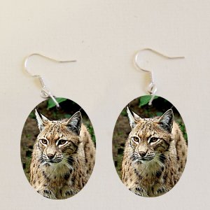 ZOO Bojnice - Rys - naušnice ovál