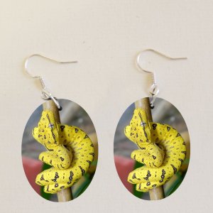 ZOO Bojnice - Pyton - naušnice ovál