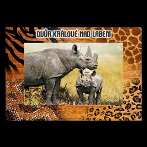 ZOO Dvůr Králové - Nosorožci - magnet C6 rám zoo dvojitý