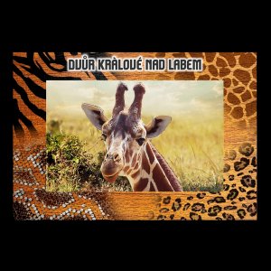 ZOO Dvůr Králové - Žirafa - magnet C6 rám zoo dvojitý