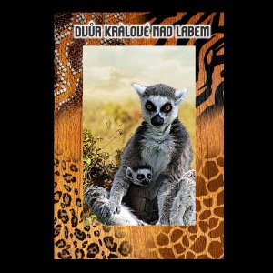 ZOO Dvůr Králové - Lemur - magnet C6 rám zoo dvojitý