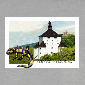Banská Štiavnica - salamandr - magnet C6 dvojitý