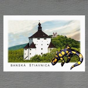 Banská Štiavnica - salamandr - magnet C6