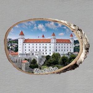 Bratislava - Hrad - magnet bříza